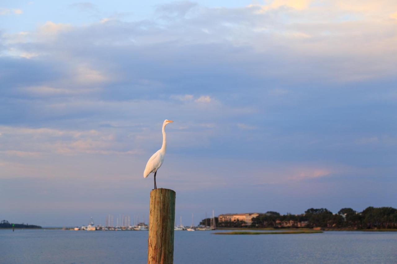 Sea Side Villas Hilton Head Island Eksteriør billede